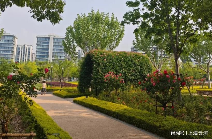 开云体育官网-外地人没有义务让上海繁华起来，让上海繁华起来这是上海人的义务